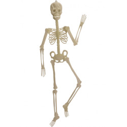 Squelette 150 cm