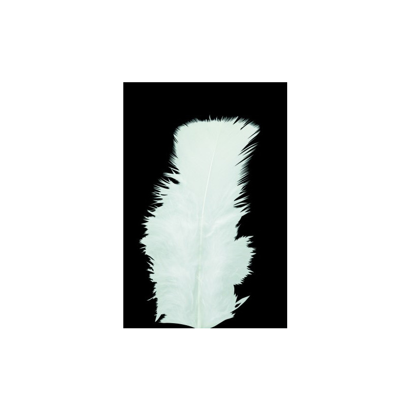 Poche 100 Plumes blanches