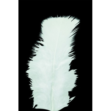 Bolsa de 50 plumas blancas