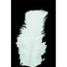 Poche 100 Plumes blanches